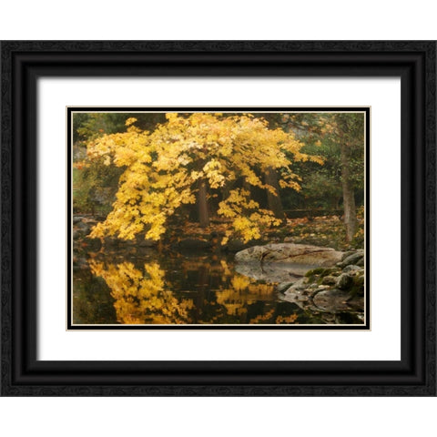 Autumn Reflections II Black Ornate Wood Framed Art Print with Double Matting by Geyman, Vitaly