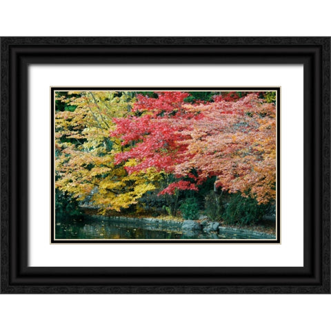 Autumn Trio I Black Ornate Wood Framed Art Print with Double Matting by Geyman, Vitaly