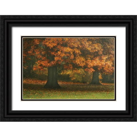 Red Oak Duo I Black Ornate Wood Framed Art Print with Double Matting by Geyman, Vitaly