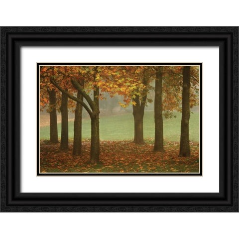 Colors in the Mist VII Black Ornate Wood Framed Art Print with Double Matting by Geyman, Vitaly