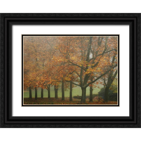 Colors in the Mist VIII Black Ornate Wood Framed Art Print with Double Matting by Geyman, Vitaly