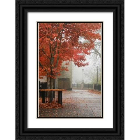 Fall Plaza IV Black Ornate Wood Framed Art Print with Double Matting by Geyman, Vitaly