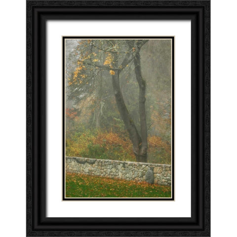 Fence Mosaic II Black Ornate Wood Framed Art Print with Double Matting by Geyman, Vitaly