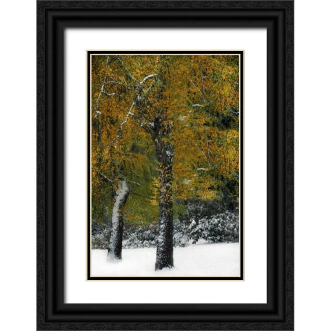 Last of Color I Black Ornate Wood Framed Art Print with Double Matting by Geyman, Vitaly