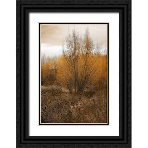 Spring Serenity I Black Ornate Wood Framed Art Print with Double Matting by Geyman, Vitaly