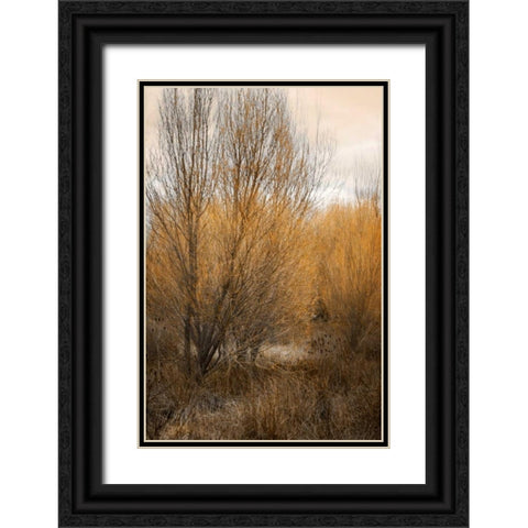 Spring Serenity II Black Ornate Wood Framed Art Print with Double Matting by Geyman, Vitaly