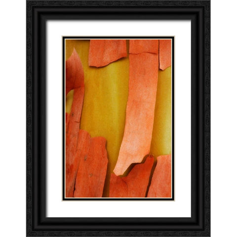 Madrone Mosaic I Black Ornate Wood Framed Art Print with Double Matting by Geyman, Vitaly