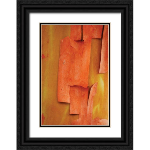 Madrone Mosaic II Black Ornate Wood Framed Art Print with Double Matting by Geyman, Vitaly