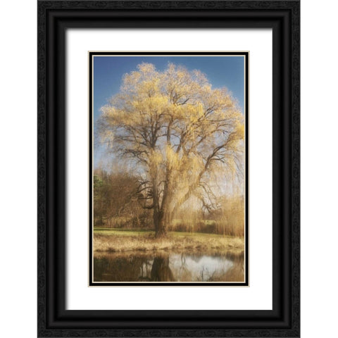 Willow Magic I Black Ornate Wood Framed Art Print with Double Matting by Vitaly, Geyman