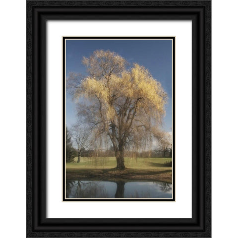 Willow Magic II Black Ornate Wood Framed Art Print with Double Matting by Vitaly, Geyman