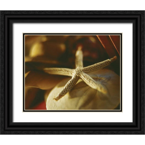 Starfish III Black Ornate Wood Framed Art Print with Double Matting by Clayton-Thompson, Philip