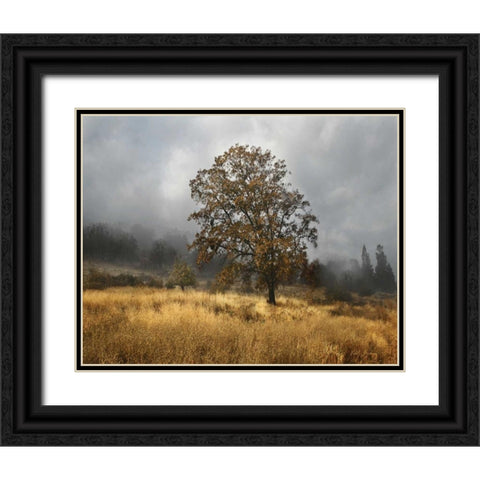 Field of Gold Black Ornate Wood Framed Art Print with Double Matting by Geyman, Vitaly
