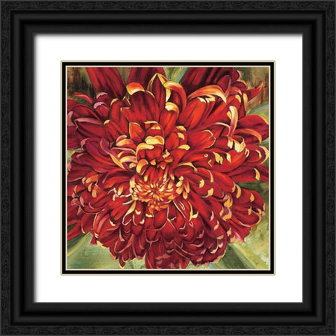 Chrysanthemum Black Ornate Wood Framed Art Print with Double Matting by Werbelow, Selina