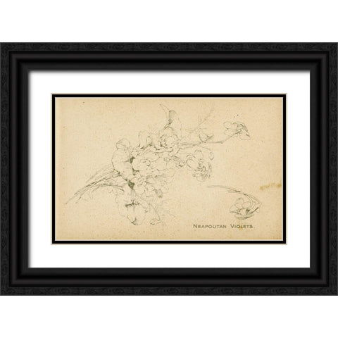 Neapolitan Violets Black Ornate Wood Framed Art Print with Double Matting by Art Licensing Studio