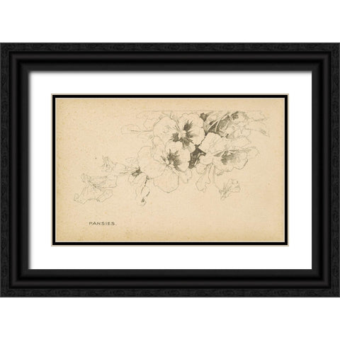 Pansies Black Ornate Wood Framed Art Print with Double Matting by Art Licensing Studio