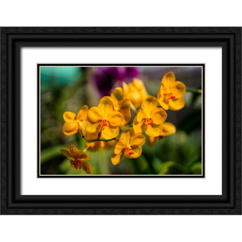 Thailand - 85 Black Ornate Wood Framed Art Print with Double Matting by Heine, Ben