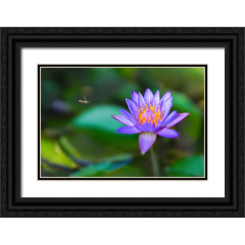 Thailand 2 - 214 Black Ornate Wood Framed Art Print with Double Matting by Heine, Ben