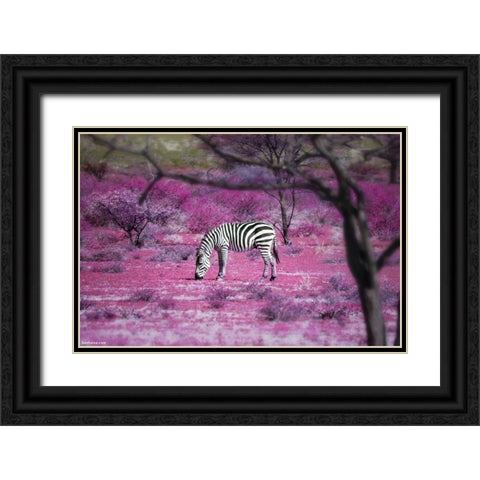 Once Upon a Time in Kenya - 7 Black Ornate Wood Framed Art Print with Double Matting by Heine, Ben
