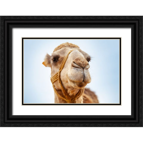 Tunisia 28 Black Ornate Wood Framed Art Print with Double Matting by Heine, Ben