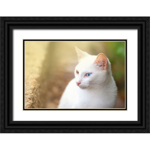 Tunisia 69 Black Ornate Wood Framed Art Print with Double Matting by Heine, Ben