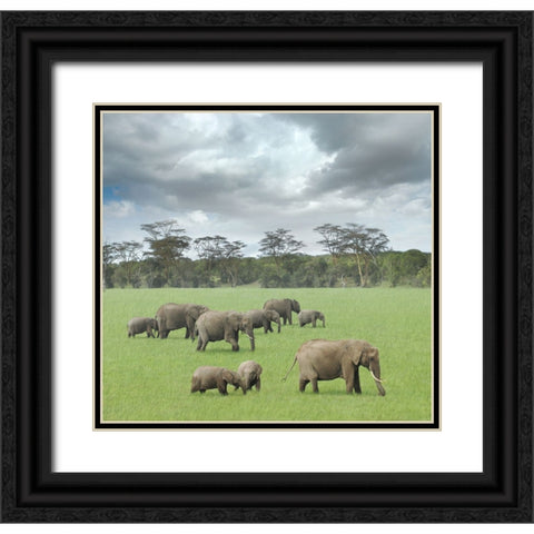 We Are Family 2 Black Ornate Wood Framed Art Print with Double Matting by Heine, Ben