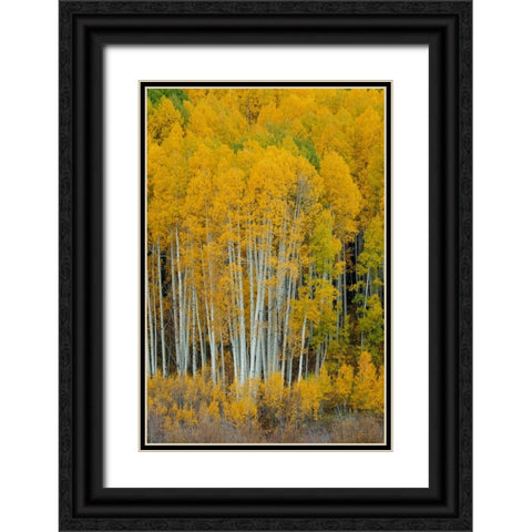 United We Stand 2 Black Ornate Wood Framed Art Print with Double Matting by Sherrell, Bill