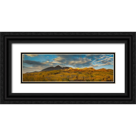 Witness To A Grand Finale Black Ornate Wood Framed Art Print with Double Matting by Sherrell, Bill