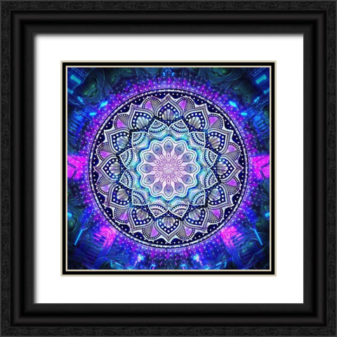 Flower Bloom Mandala Black Ornate Wood Framed Art Print with Double Matting by Gray, Cameron