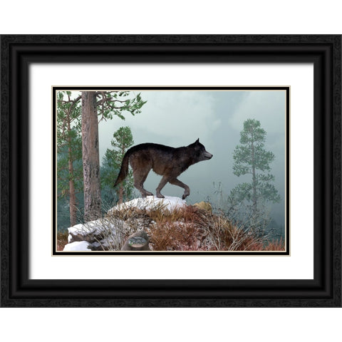 Winter Wolf Black Ornate Wood Framed Art Print with Double Matting by Eskridge, Daniel