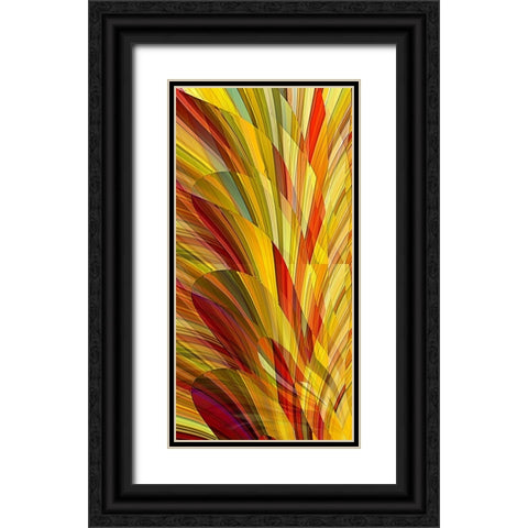 Flower Petals Black Ornate Wood Framed Art Print with Double Matting by Manlove, David