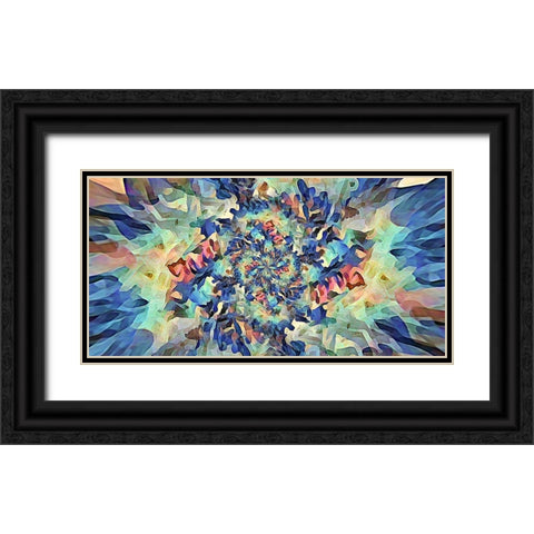 Reverse Floral Radial Black Ornate Wood Framed Art Print with Double Matting by Manlove, David