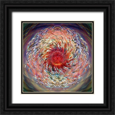 Cosmic Helicopter Seeds Black Ornate Wood Framed Art Print with Double Matting by Manlove, David