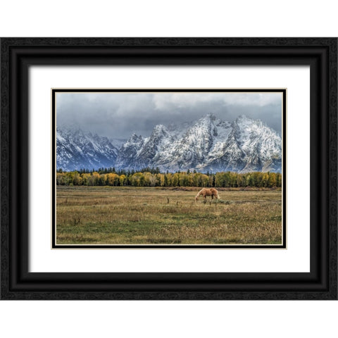 Fine Dining In The Tetons Black Ornate Wood Framed Art Print with Double Matting by Galloimages Online