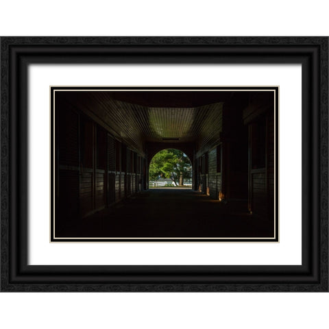 Horse Farm Barn (Inside And Out) Black Ornate Wood Framed Art Print with Double Matting by Galloimages Online