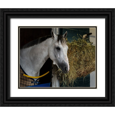 Pre-Race Wheaties Black Ornate Wood Framed Art Print with Double Matting by Galloimages Online