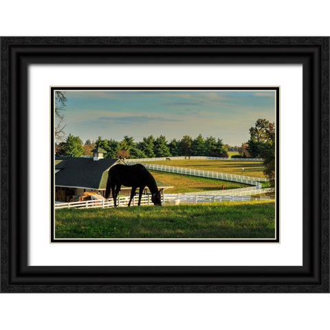 Sunset On The Farm Black Ornate Wood Framed Art Print with Double Matting by Galloimages Online