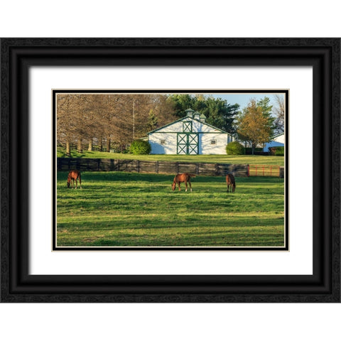 Horse Farm Landscape Black Ornate Wood Framed Art Print with Double Matting by Galloimages Online