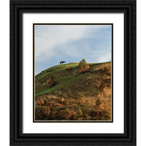 Horse On Hill (TRNP) Black Ornate Wood Framed Art Print with Double Matting by Galloimages Online