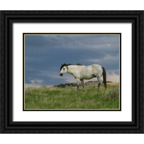 Wild Horse - Stallion (Storm) Black Ornate Wood Framed Art Print with Double Matting by Galloimages Online