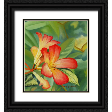 Small Red Flower Black Ornate Wood Framed Art Print with Double Matting by Stevenson, Graeme