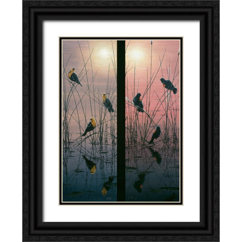 Red Winged And Yellow Headed Blackbirds Black Ornate Wood Framed Art Print with Double Matting by Tift, Jeff
