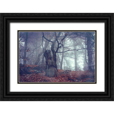 Celtic Guardian Black Ornate Wood Framed Art Print with Double Matting by Jenny Rainbow Fine Art