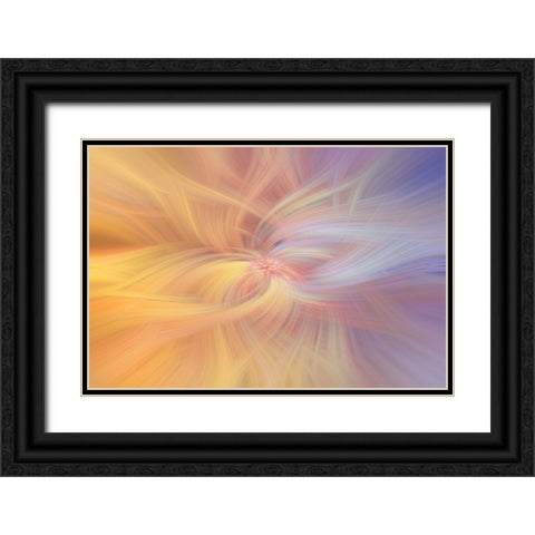Mystery of Colors Art of Harmony Black Ornate Wood Framed Art Print with Double Matting by Jenny Rainbow Fine Art