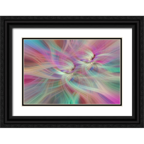 Mystery of Colors Double Rainbow Luck Black Ornate Wood Framed Art Print with Double Matting by Jenny Rainbow Fine Art