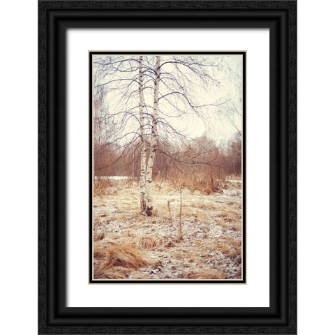 Grace in the Snow Black Ornate Wood Framed Art Print with Double Matting by Jenny Rainbow Fine Art
