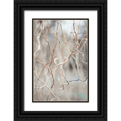 Lost World Black Ornate Wood Framed Art Print with Double Matting by Jenny Rainbow Fine Art