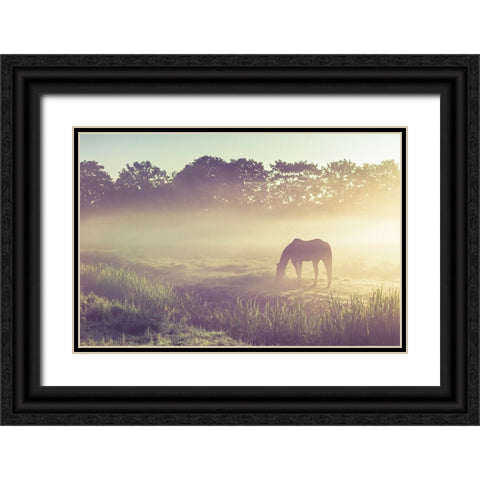 Misty Morning on the Dutch Field Black Ornate Wood Framed Art Print with Double Matting by Jenny Rainbow Fine Art