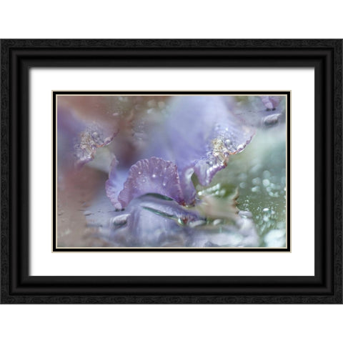 Morning Diamonds Iris Macro 1 Black Ornate Wood Framed Art Print with Double Matting by Jenny Rainbow Fine Art