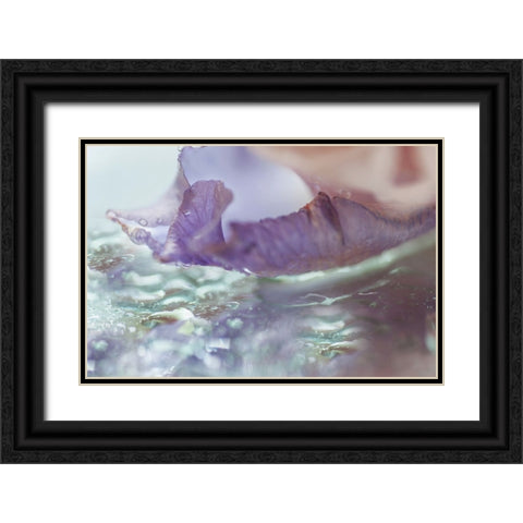 Morning Diamonds Iris Macro 2 Black Ornate Wood Framed Art Print with Double Matting by Jenny Rainbow Fine Art