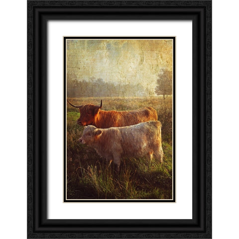 Highlanders Black Ornate Wood Framed Art Print with Double Matting by Jenny Rainbow Fine Art